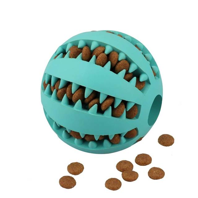 The Ultimate Guide to Picking the Best Dental Chew Ball for Dogs: A Toy Your Dog Will Love
